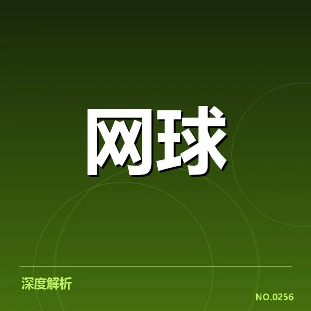 已确认的主要技术特点及表现